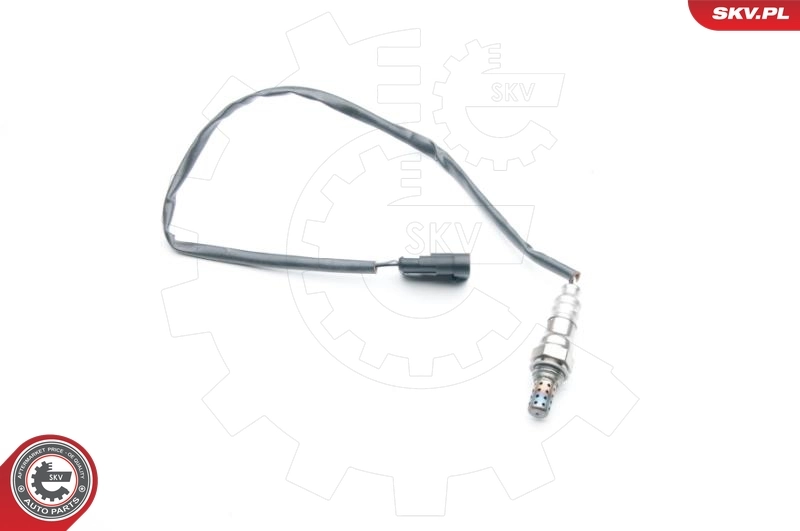 Oxygen Sensor